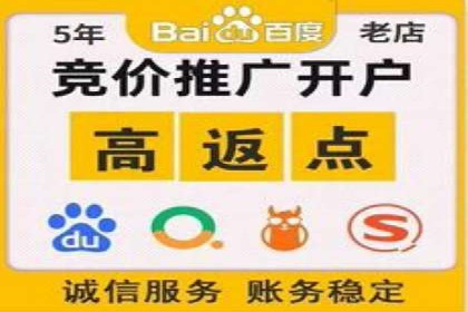 百度推广案例：成功打造行业领军品牌